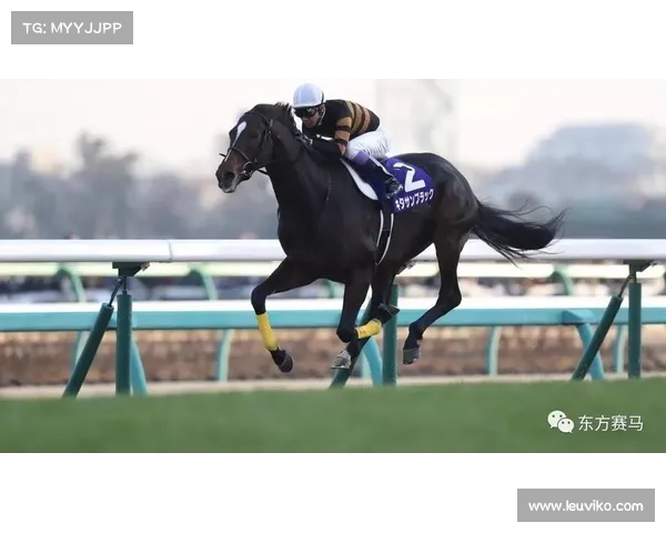 2018世界赛马比赛视频