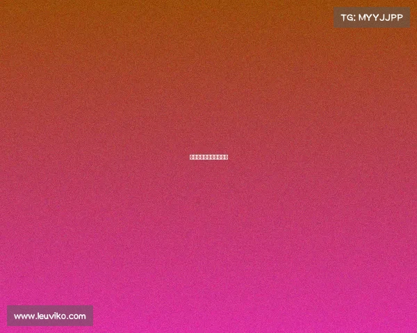 柔道的赛事—柔道的比赛