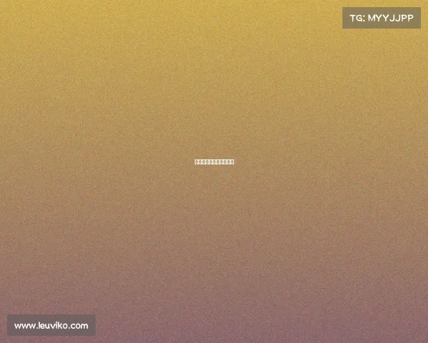 中网赛事保障方案是什么